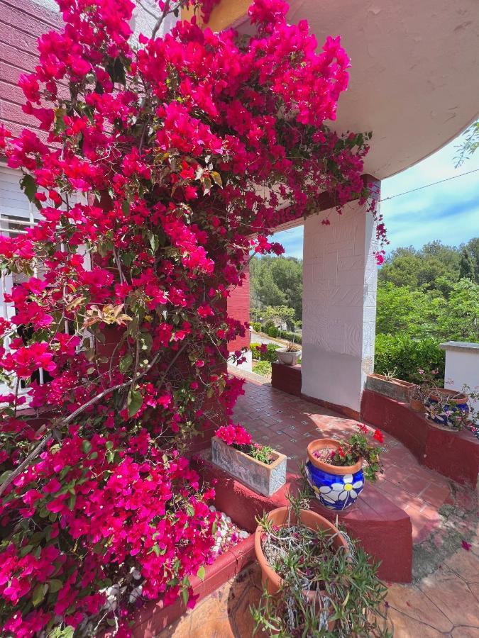Apartamentos Famara Lloret de Mar Buitenkant foto